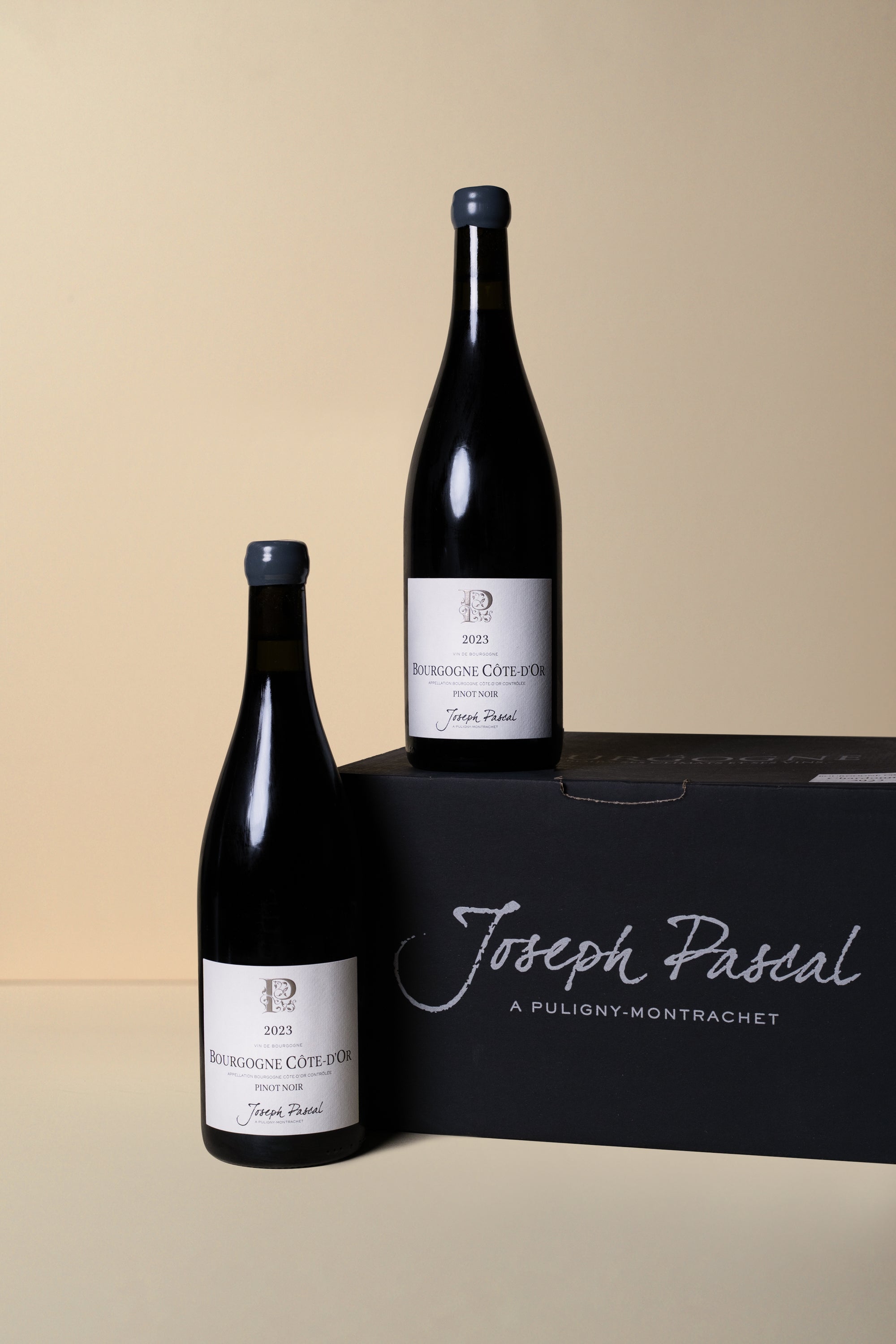Joseph Pascal, Bourgogne Cote d'Or Pinot Noir 2023 750ml (OCC of 6 bottles)