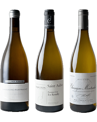 THE JEWEL OF BURGUNDY