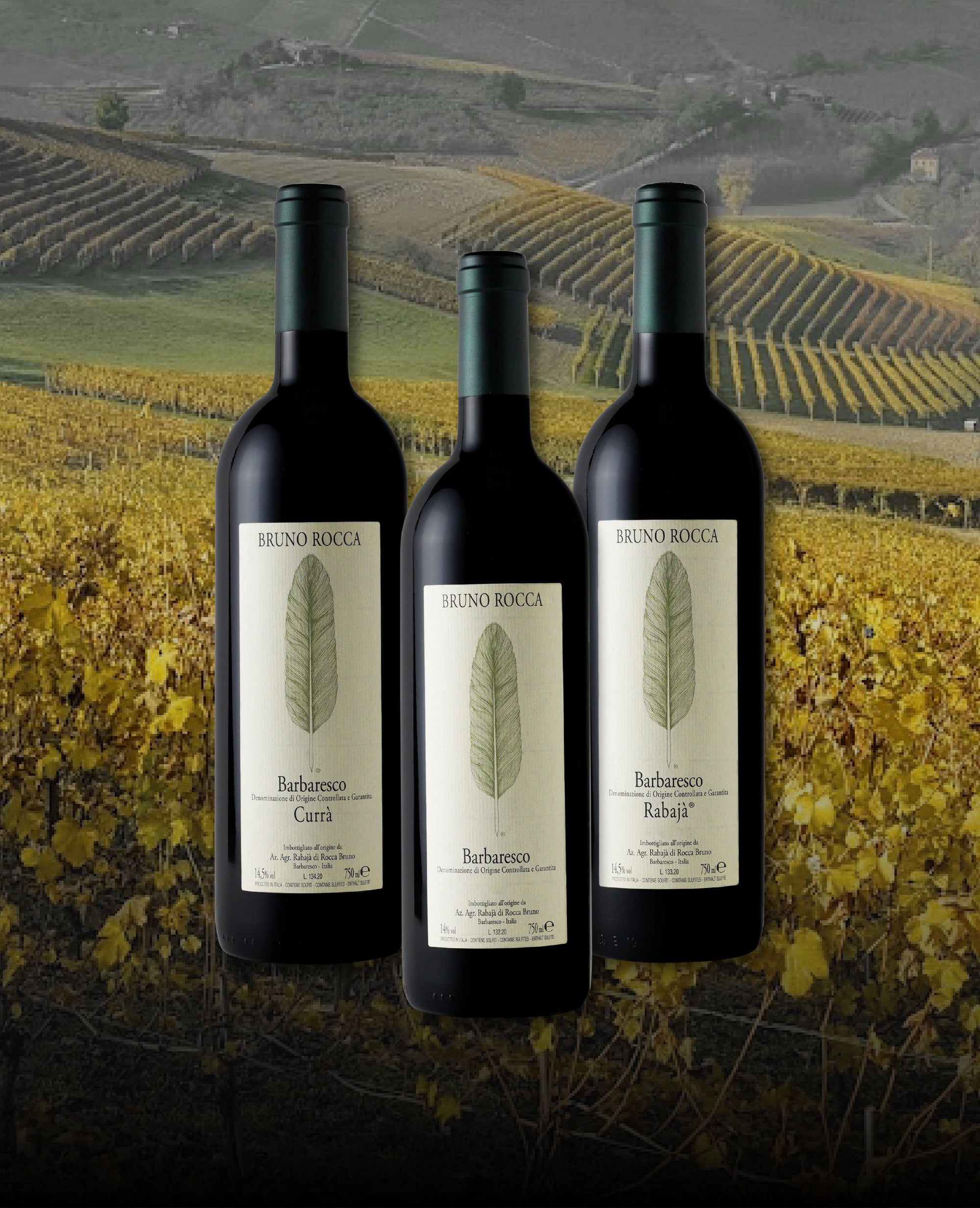 The Essence Of Barbaresco - Bruno Rocca Bundle