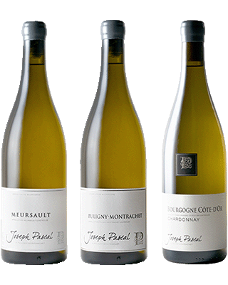 CÔTE DE BEAUNE'S RISING STAR