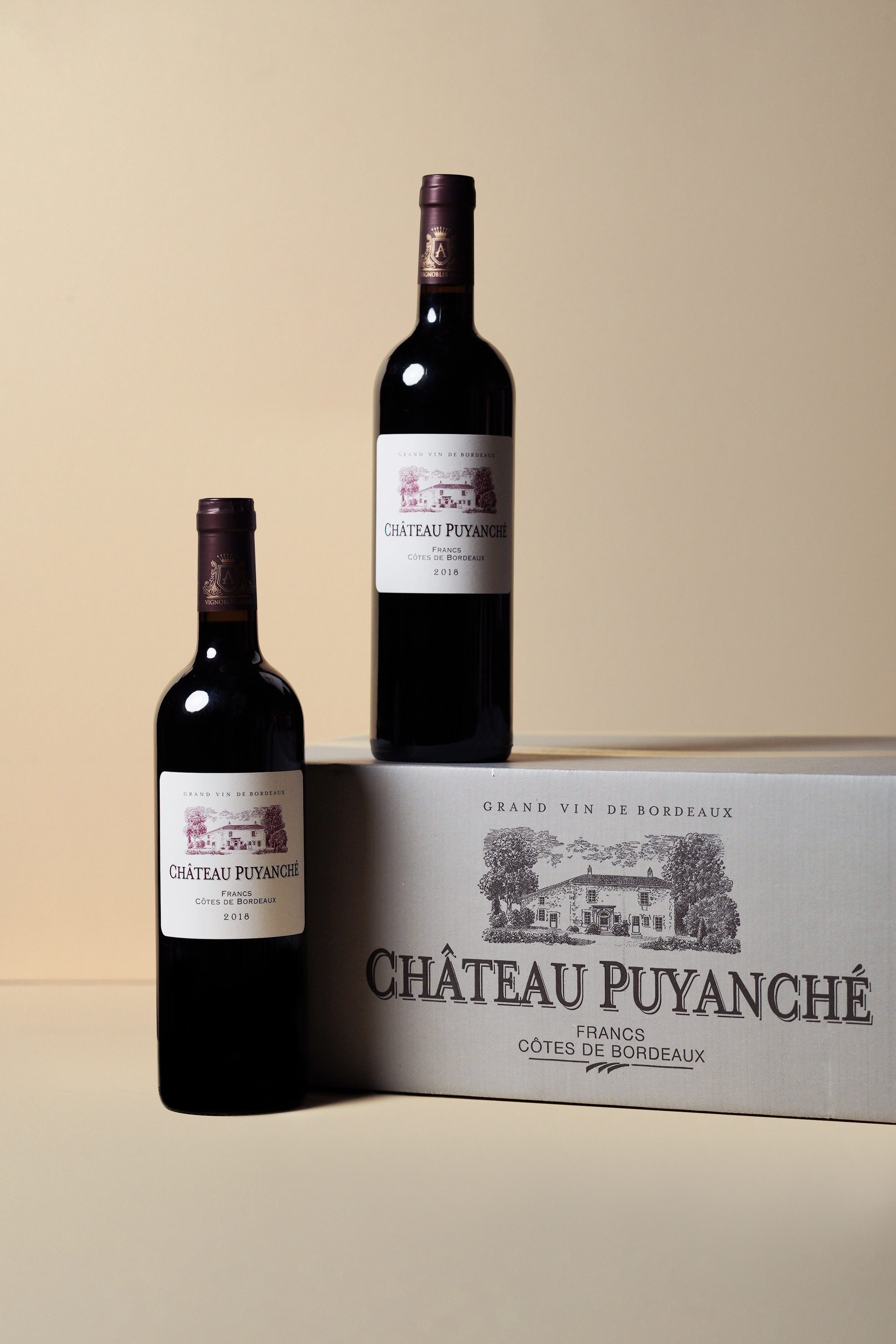 Puyanche - Francs Cotes de Bordeaux 2018 (OCC of 12 bottles)