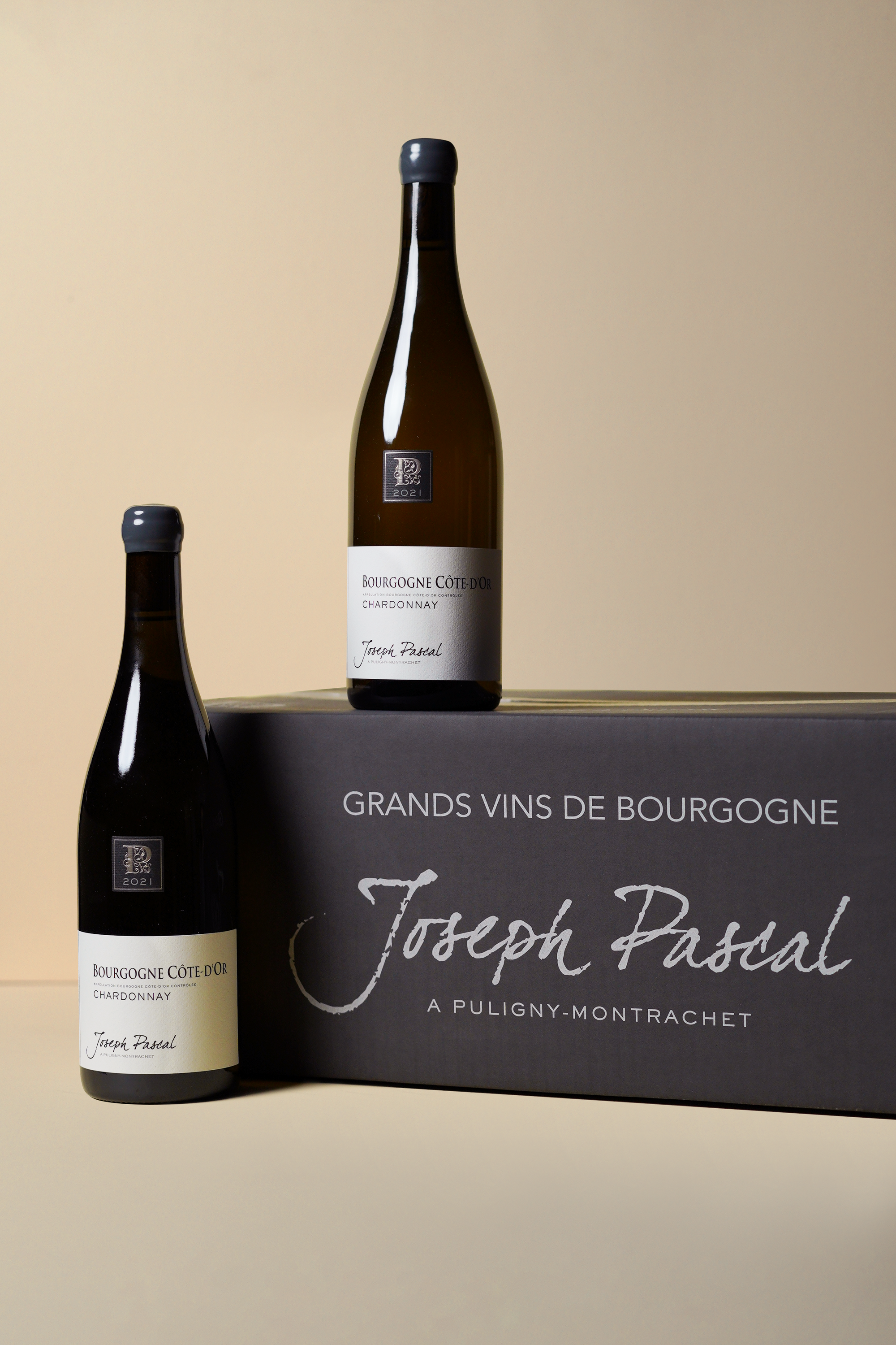Joseph Pascal, Bourgogne Cote d'Or Chardonnay 2021 (OCC of 12 bottles)