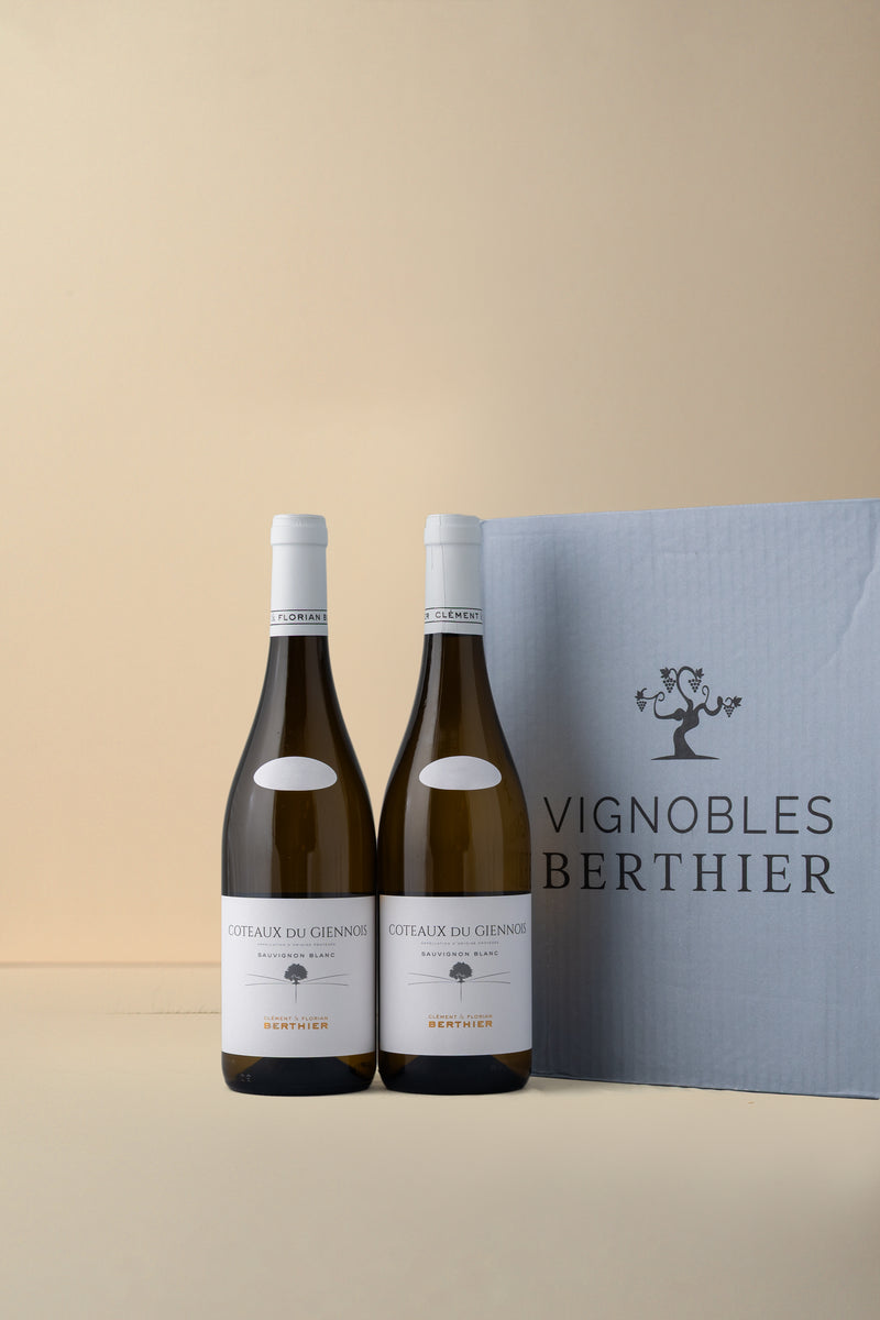 Clement & Florian Berthier, Coteaux du Giennois Blanc 2023 750ML (OCC of 6 bottles)