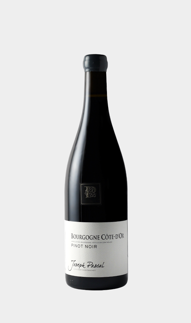 Joseph Pascal, Bourgogne Cote d'Or Pinot Noir 2023 750ML - PIVENE