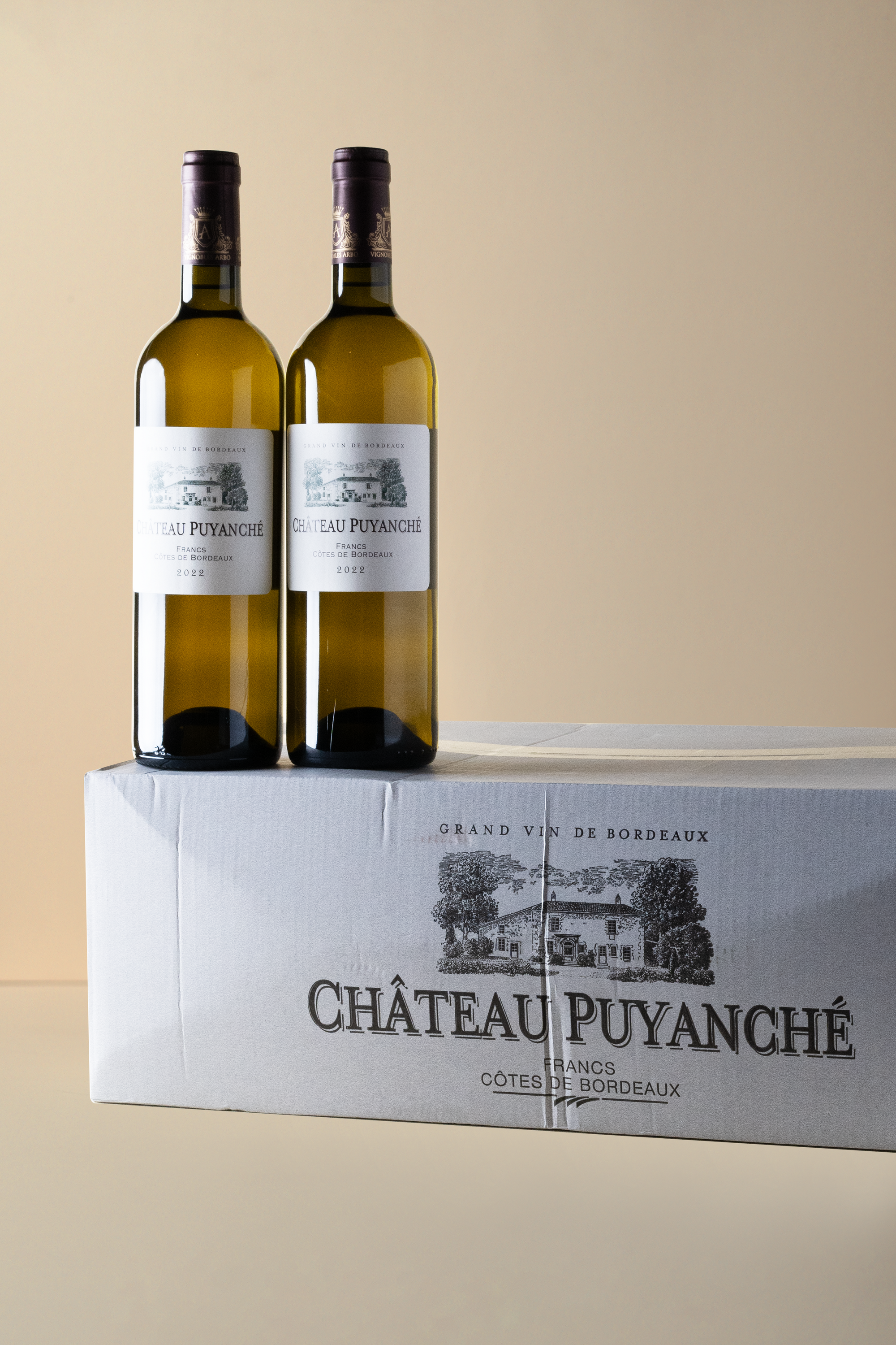 Puyanche Blanc - Francs Cotes de Bordeaux 2022 750ML (OCC of 12 bottles)