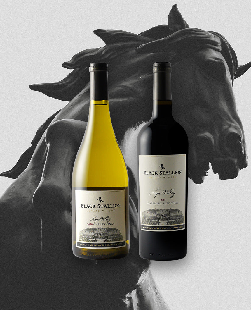Black Stallion; A Thoroughbred From The Napa Valley